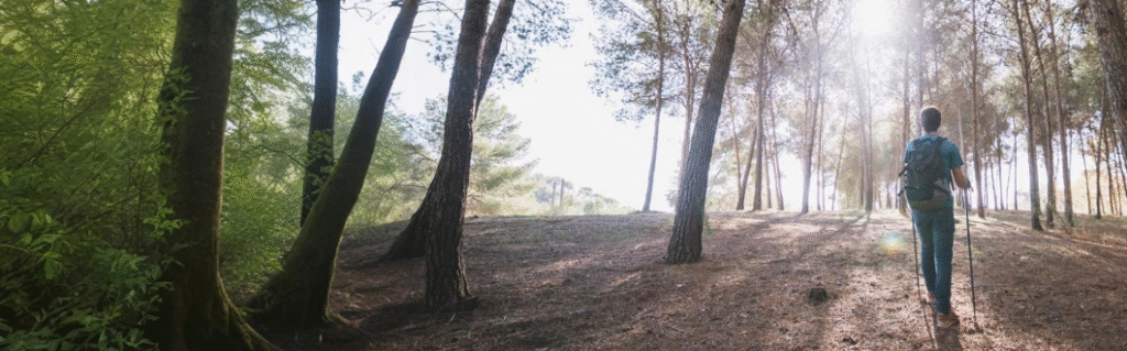 Inez Spring Hiking